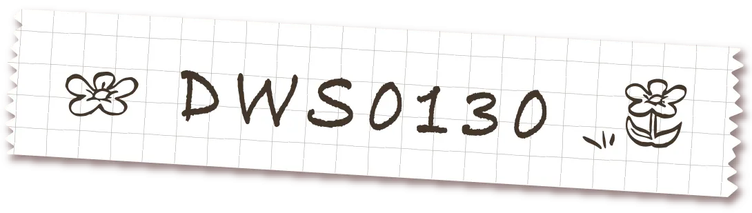 DWS0130