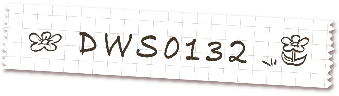 DWS0132