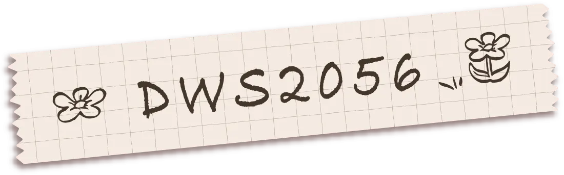 DWS2056