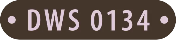 DWS 0134