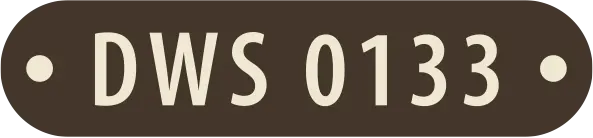 DWS 0133
